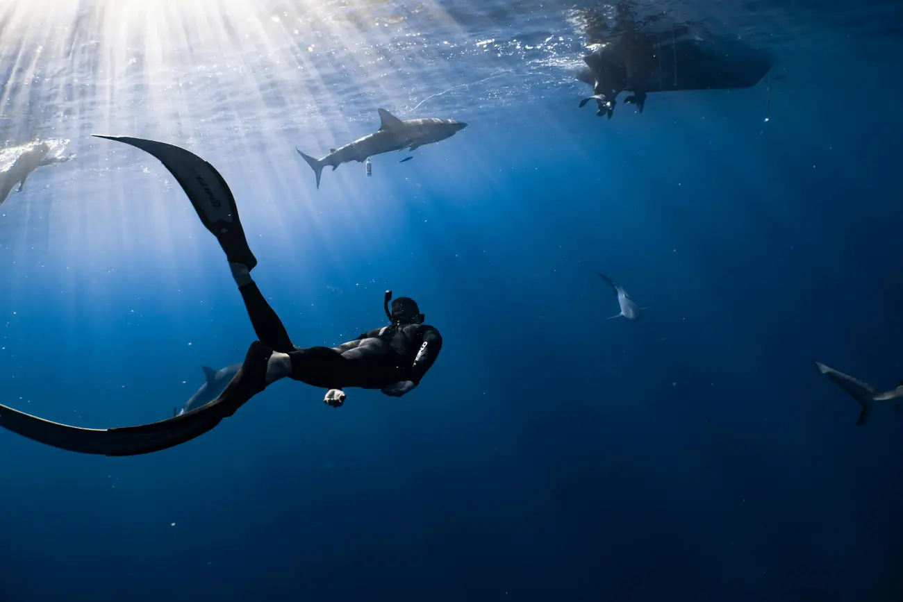 Lorem ipsum dolor sit amet, consectetur adipiscing elit.